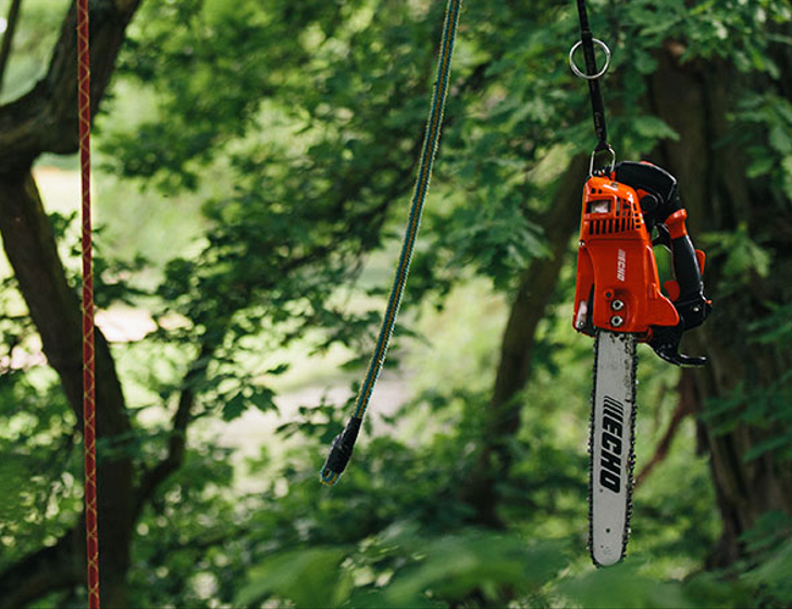 低排放發動機的全球領導者 低排放發動機的全球領導者