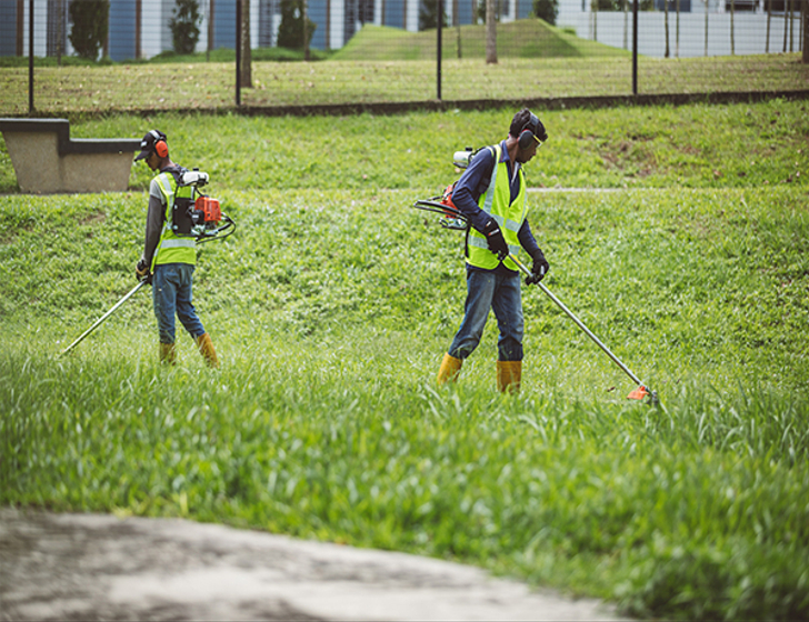 輕巧平衡的設計