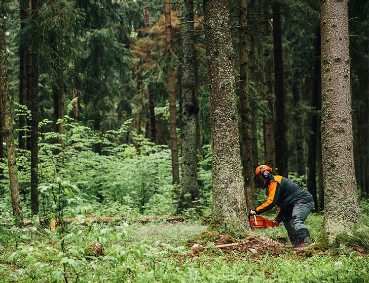 專業引擎 專業引擎