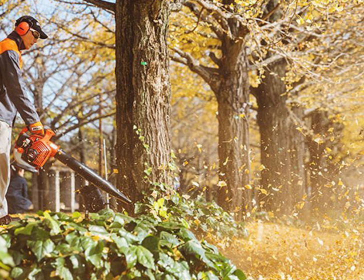 難以置信的力量