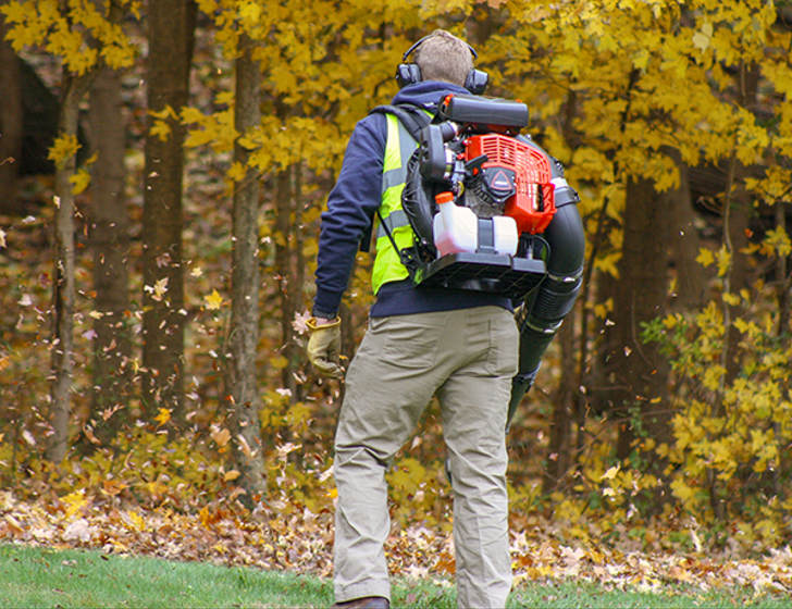 “野獸” “野獸”